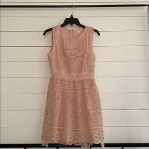 Francescas pink lace dress